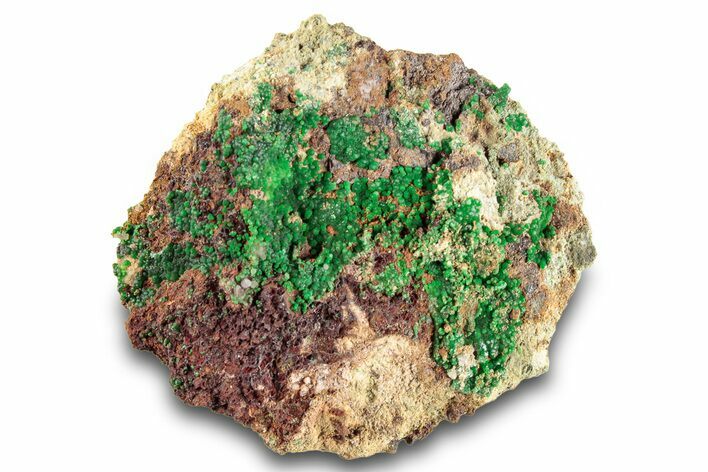 Striking Green Conichalcite Formation - Utah #284968